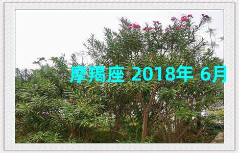 摩羯座 2018年 6月